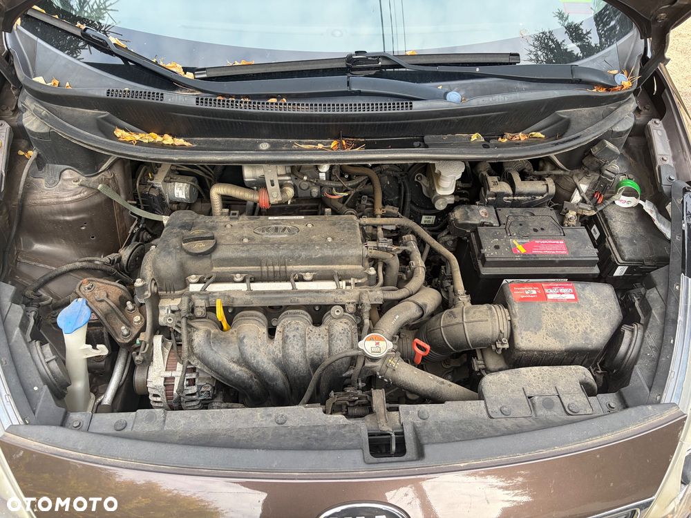Kia Rio - 11