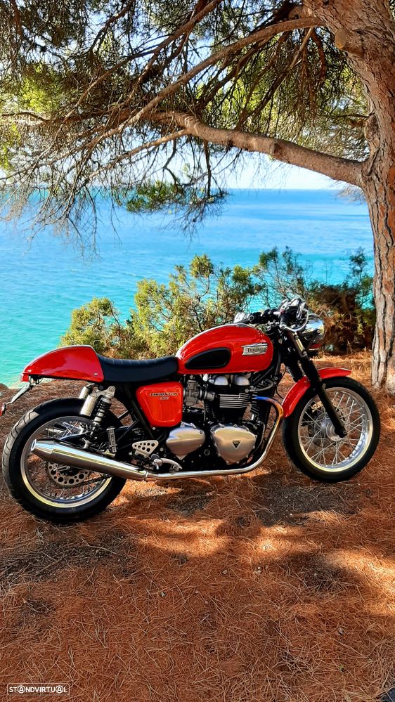 Triumph Thruxton - 6