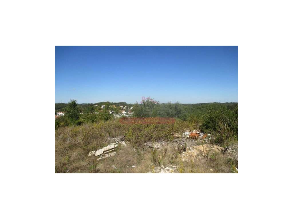 Lote Terreno Rustico - Soure - Grande imagem: 3/6