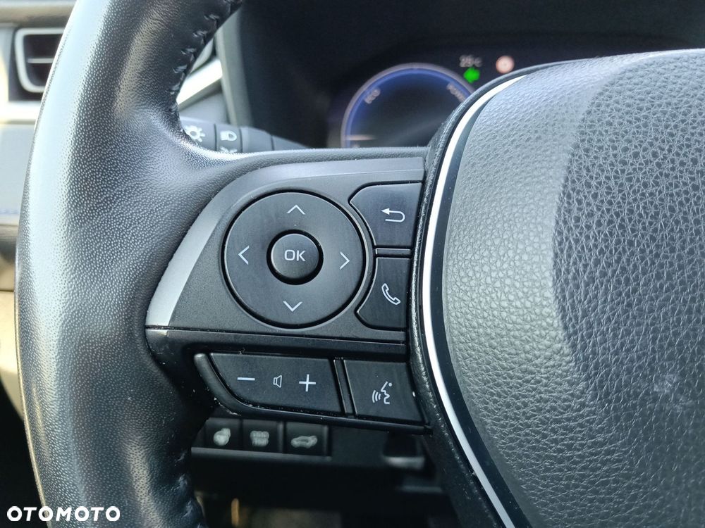 Toyota RAV4 2.5 Hybrid Selection 4x4 - 15