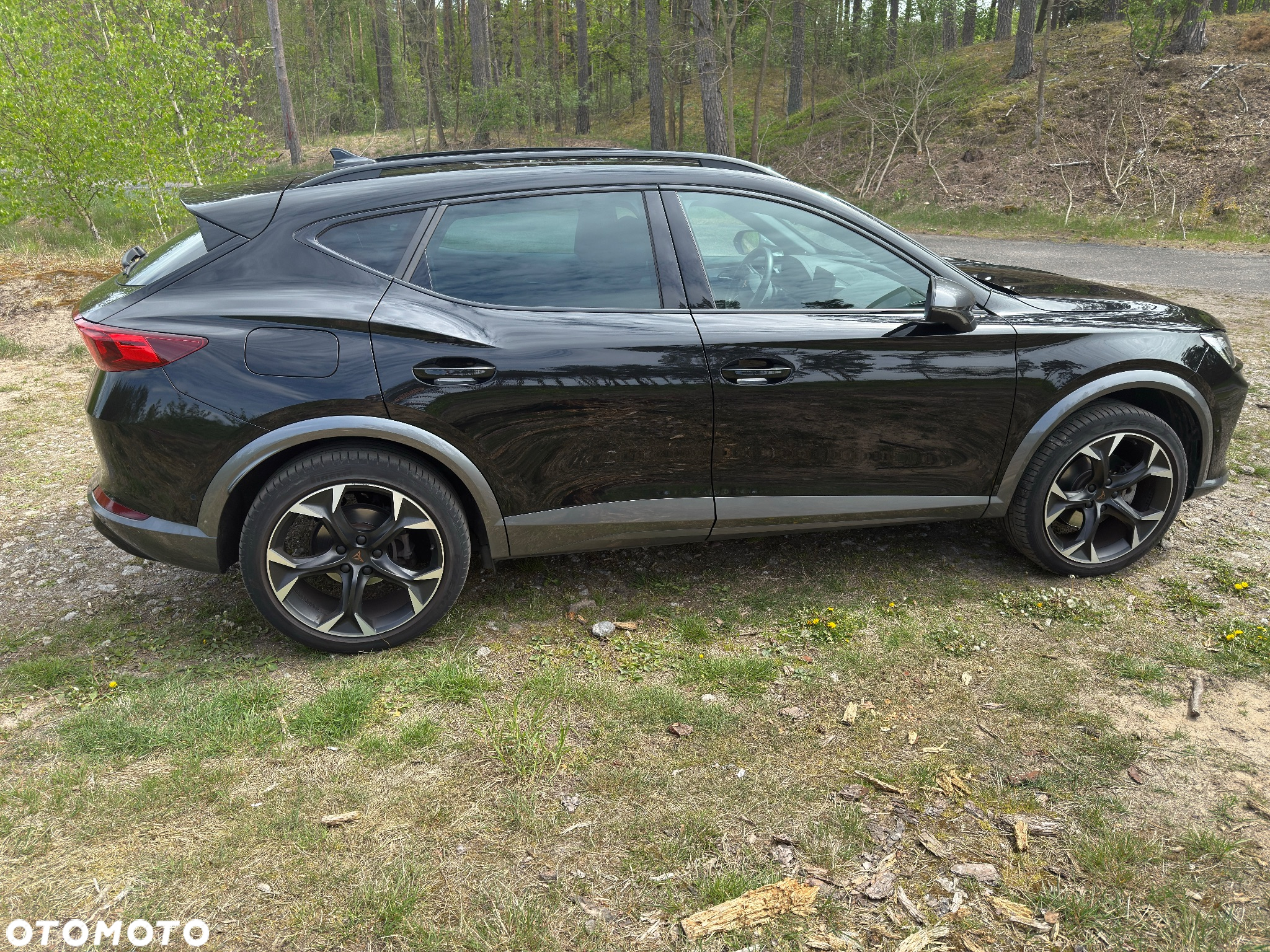 Cupra Formentor 1.5 TSI DSG - 6