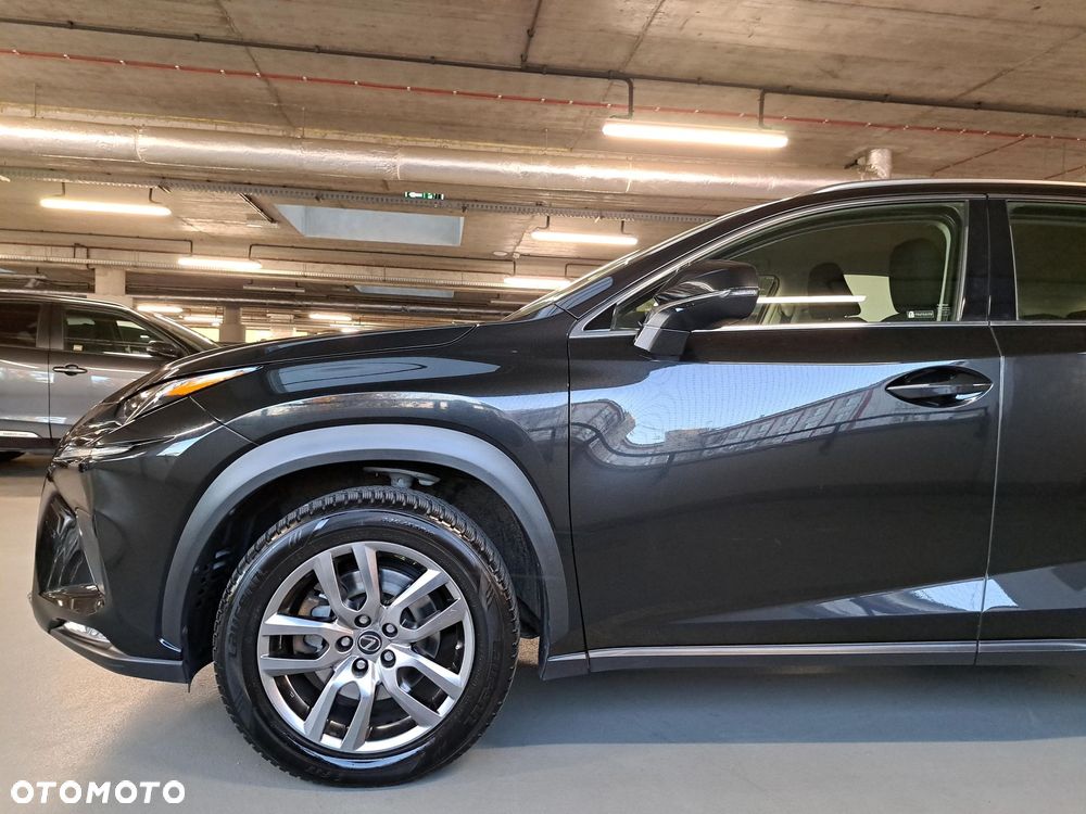 Lexus NX - 33