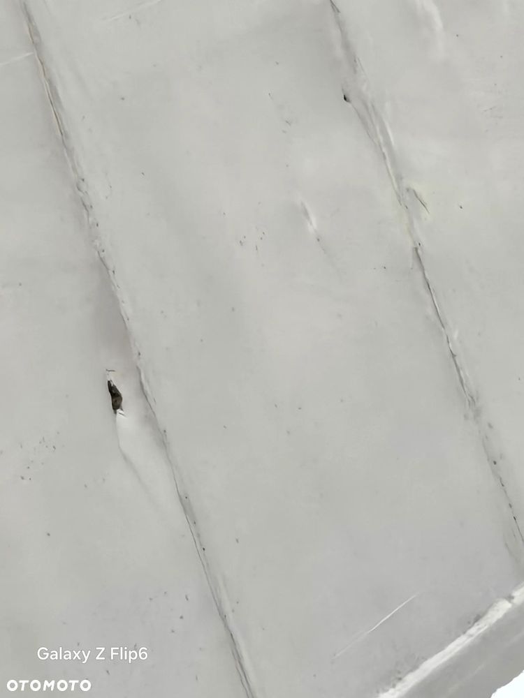 Feber Inter Cars NW - 8