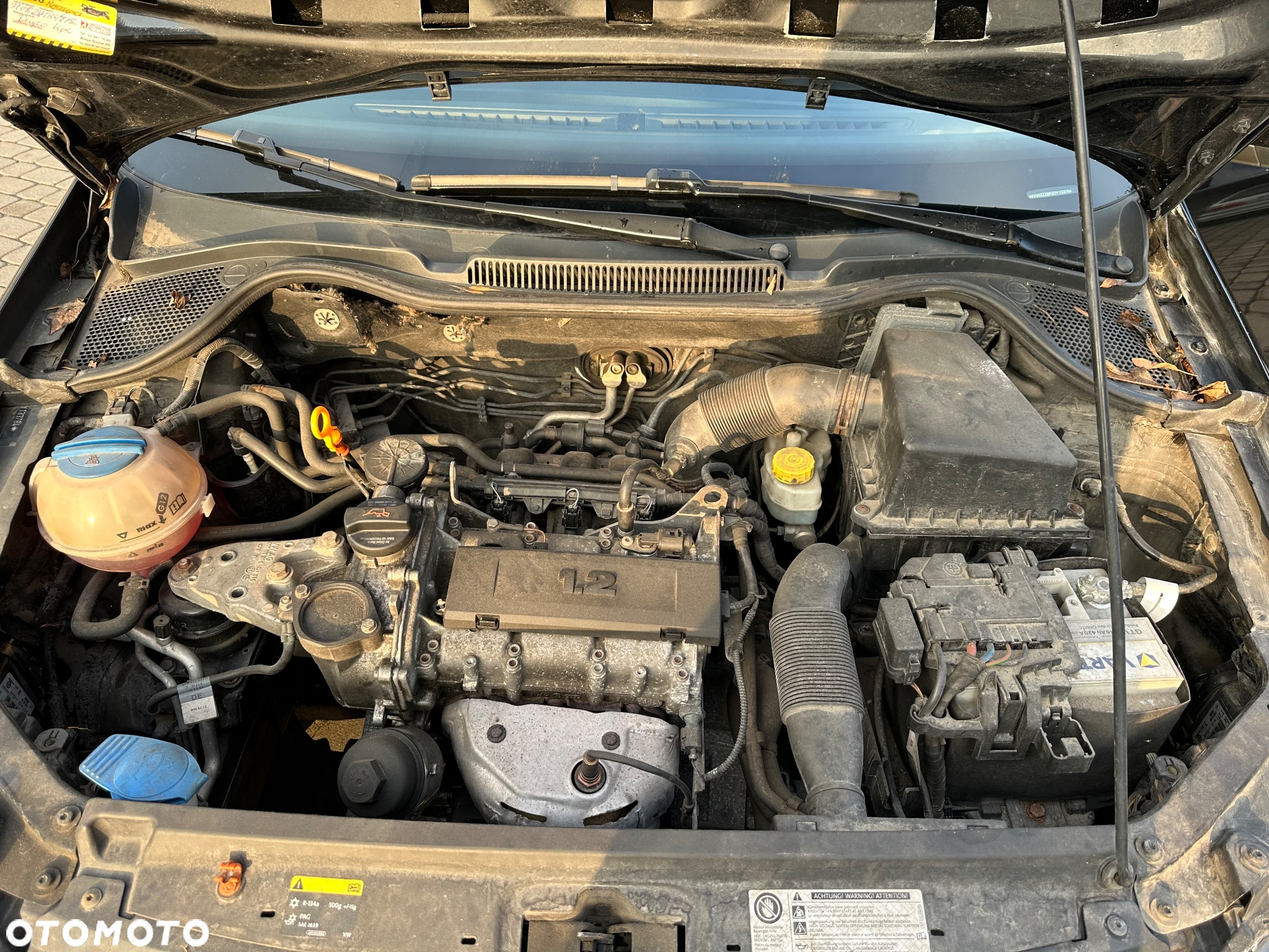 Volkswagen Polo - 8