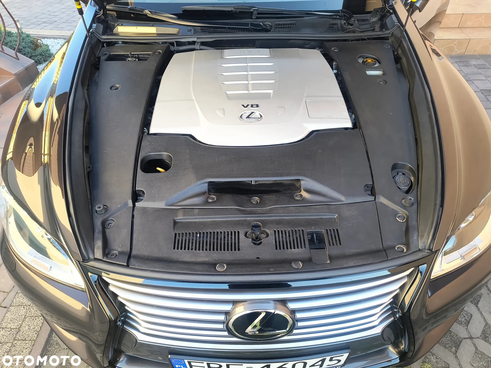 Lexus LS 460 Elite - 8