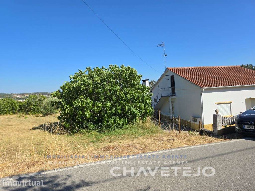 Lote de Terreno para construção em S. Pedro de Tomar - Grande imagem: 4/14