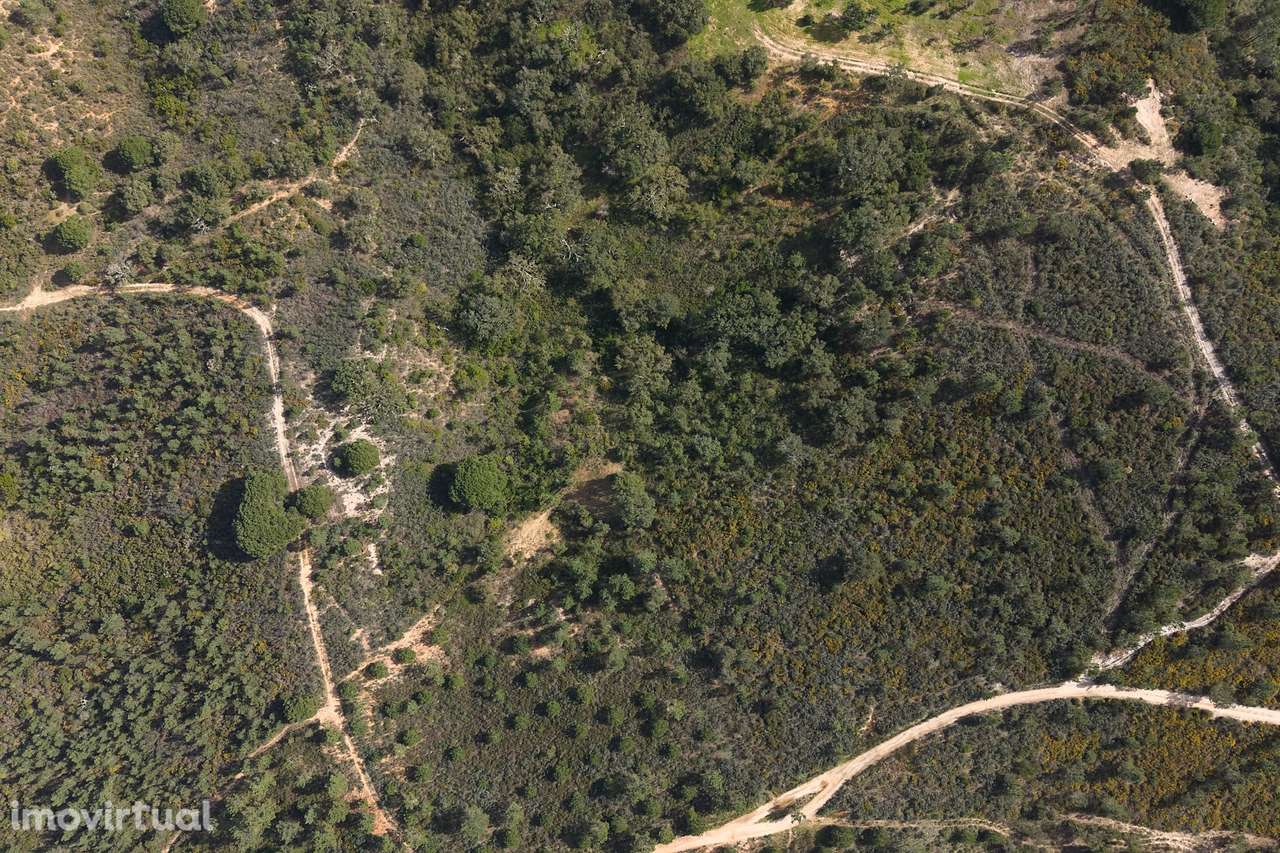 Herdade de 10 hectares em Melides - Grande imagem: 2/22