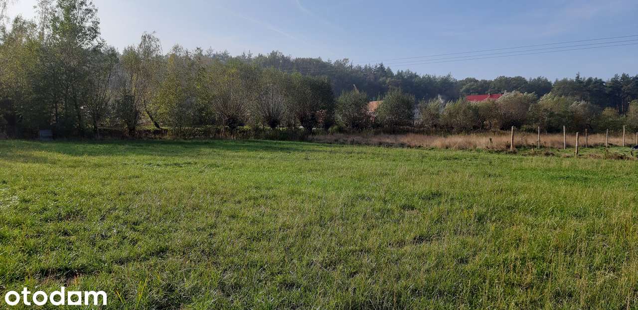Działka budowlana, Prochowice 1200 m² , prąd, MPZP,  84 z/m2 - Pełny obrazek: 5/8