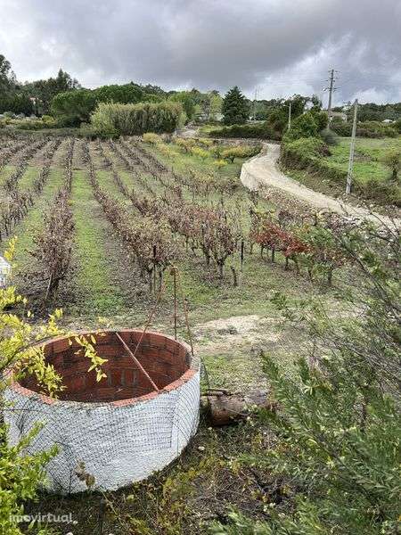 Terreno agricola de 7400m² Calhandriz - lisboa - Grande imagem: 5/12