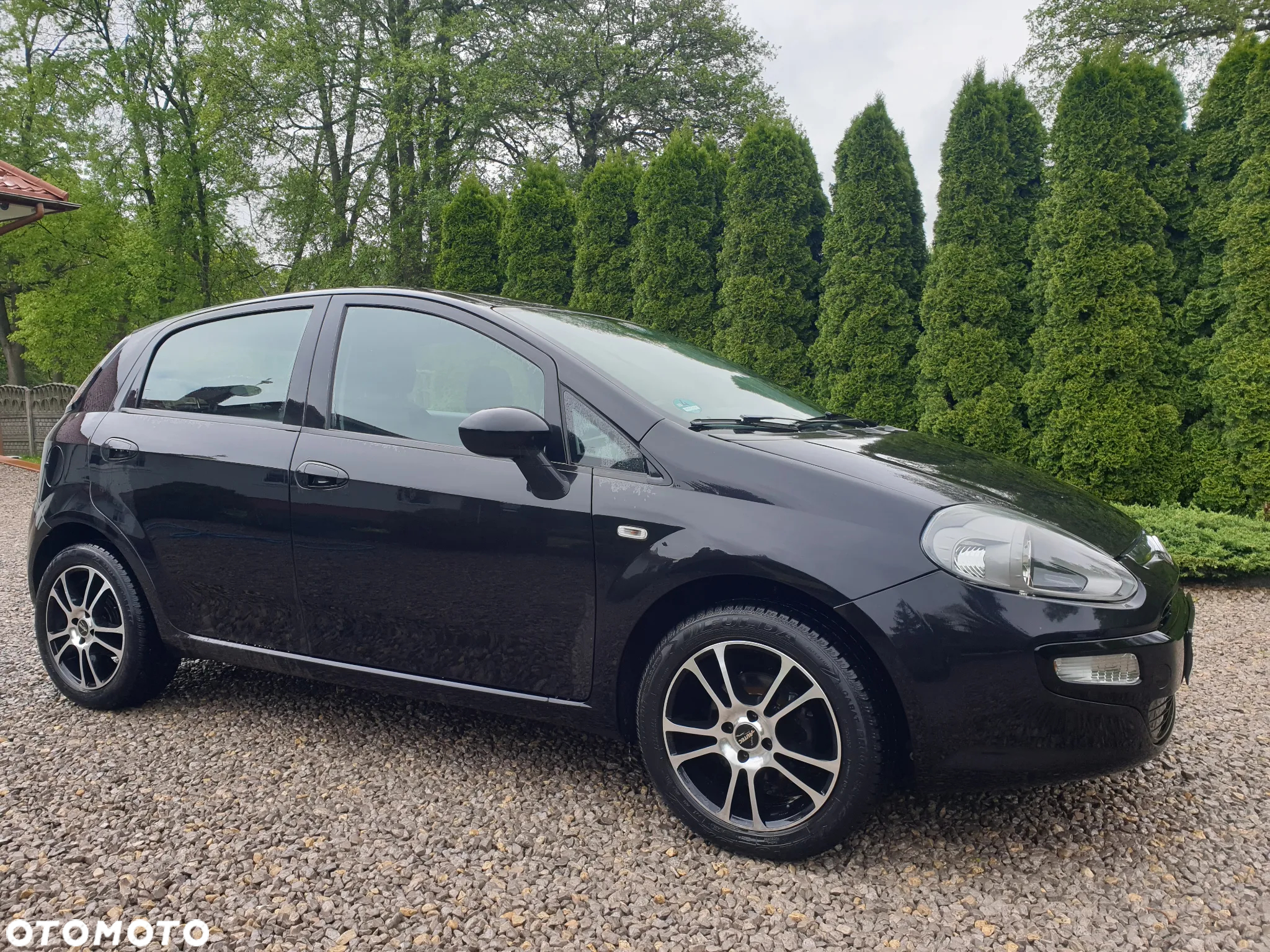 Fiat Punto Evo 1.2 8V Easy Start&Stopp - 5