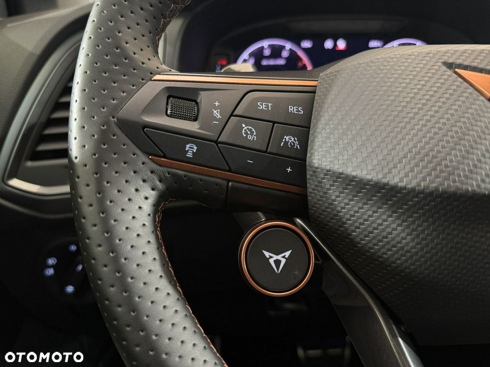 Cupra Ateca - 17