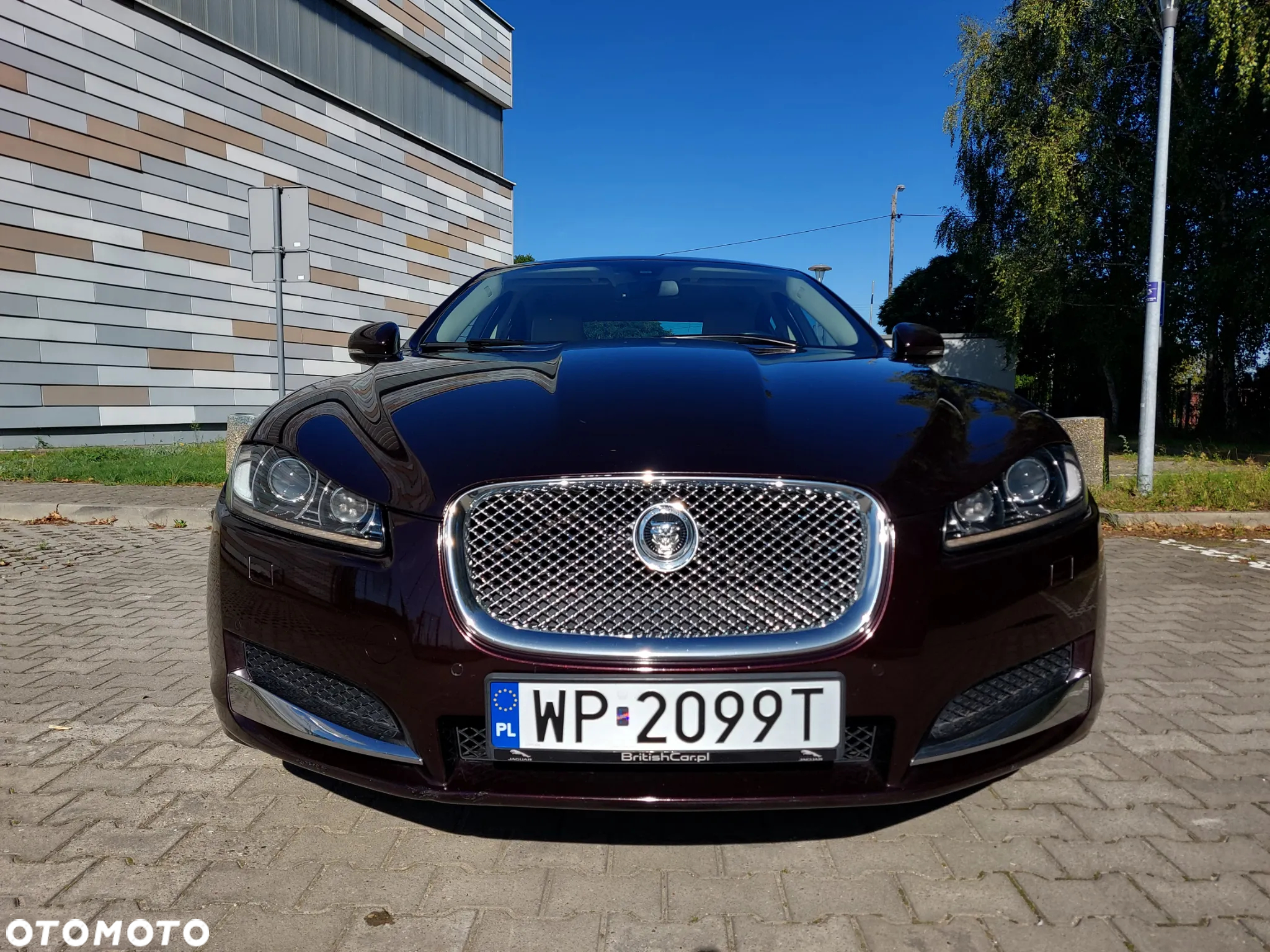 Jaguar XF 3.0 T AWD Classic - 13