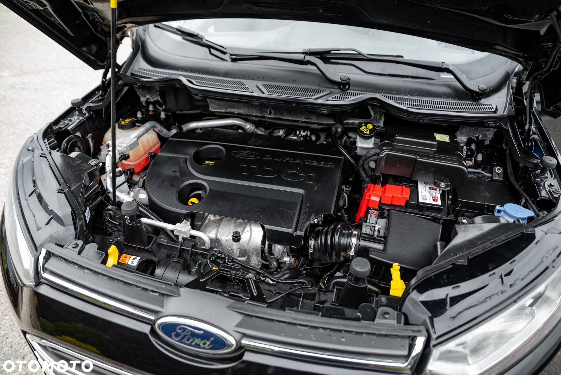 Ford EcoSport 1.5 TDCi - 37
