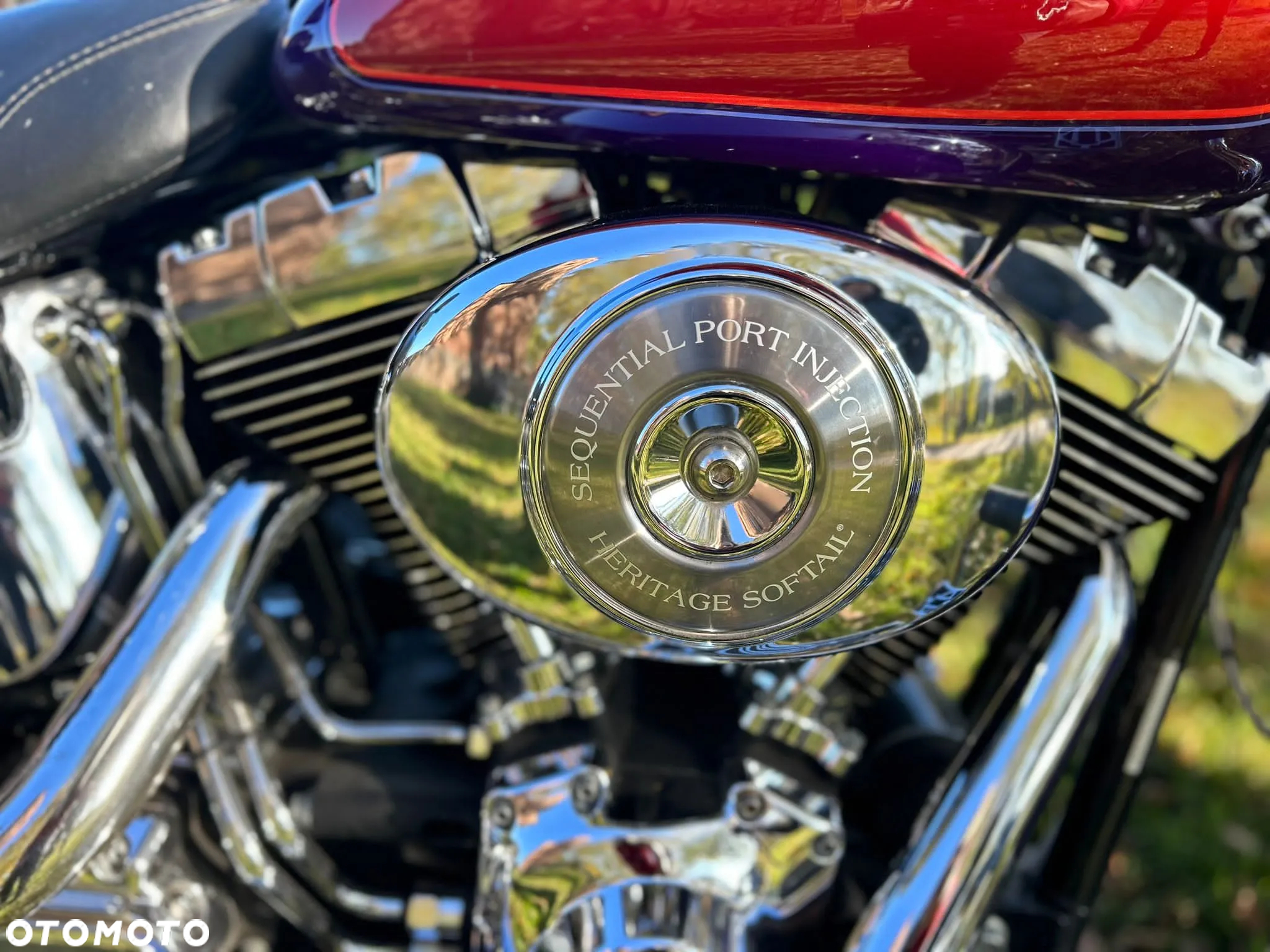 Harley-Davidson Softail - 7