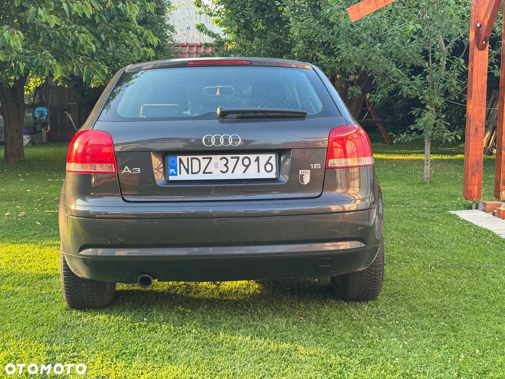 Audi A3 3-drzwiowe 1.6 Ambition - 3