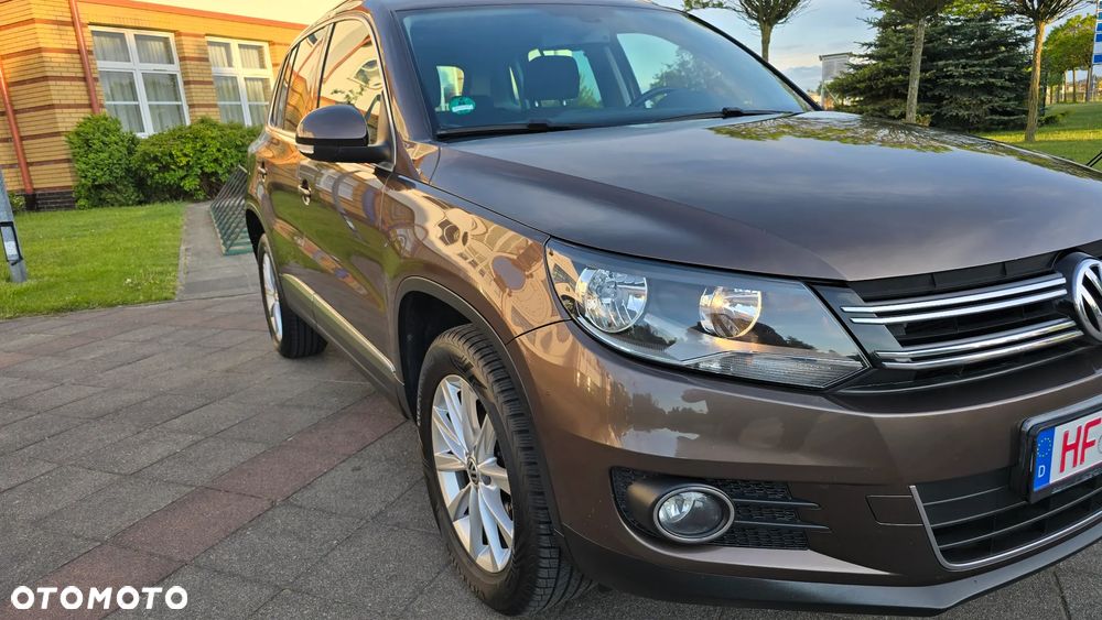 Volkswagen Tiguan - 19