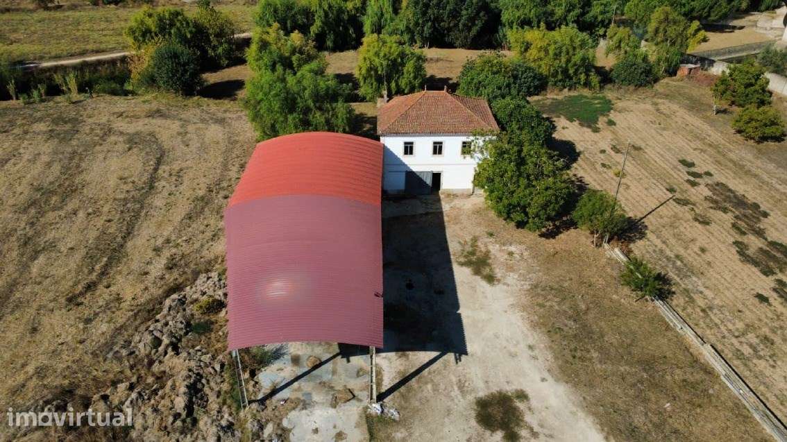 Quinta Rural - Torres Novas - Junto ao Rio Almonda - Grande imagem: 2/14