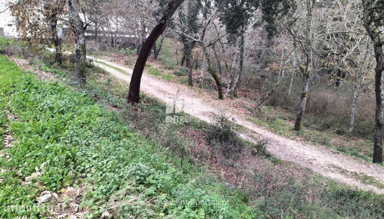 Venda Terreno, Gondar, Amarante - Grande imagem: 3/19
