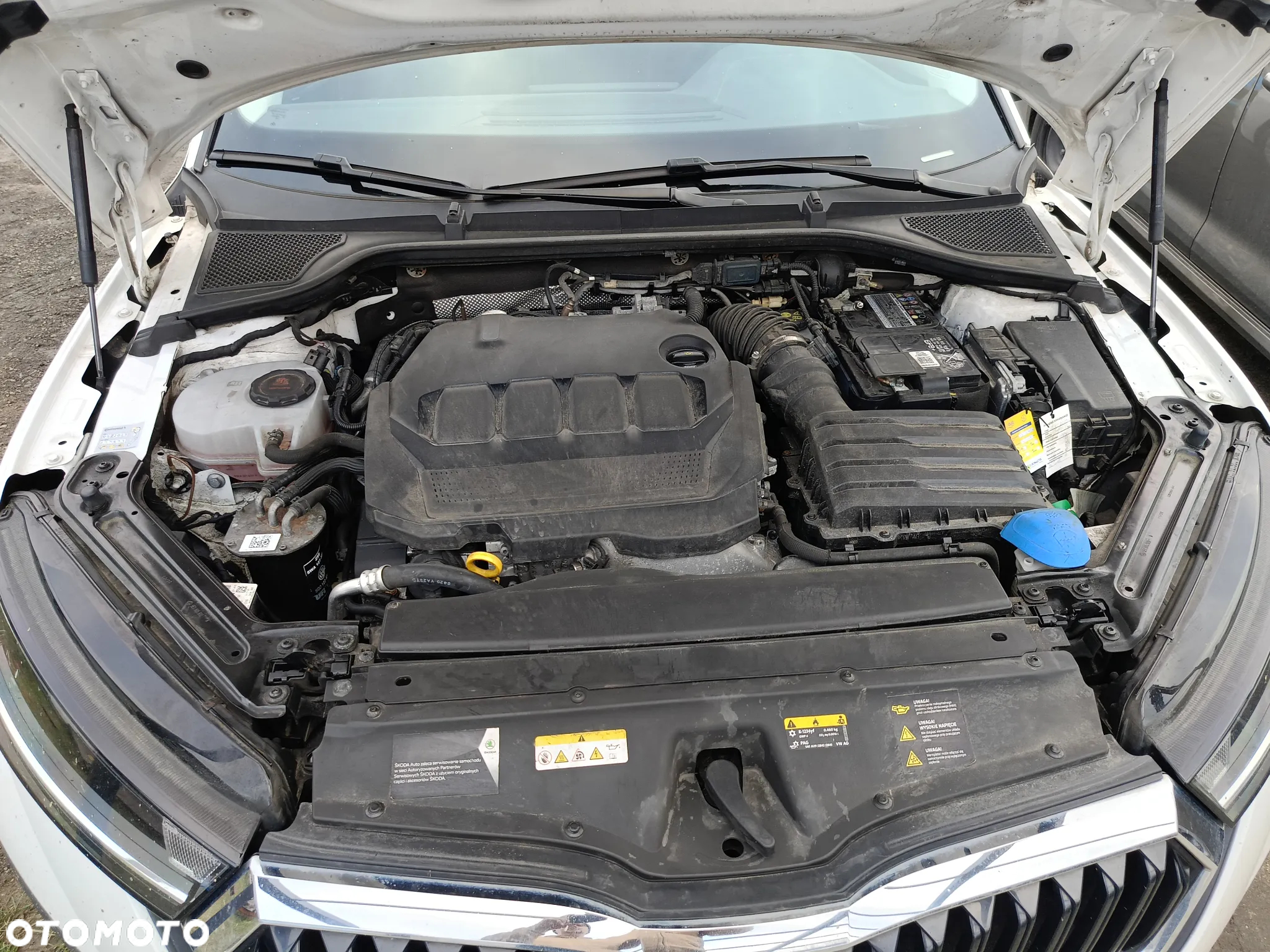 Skoda Octavia - 14
