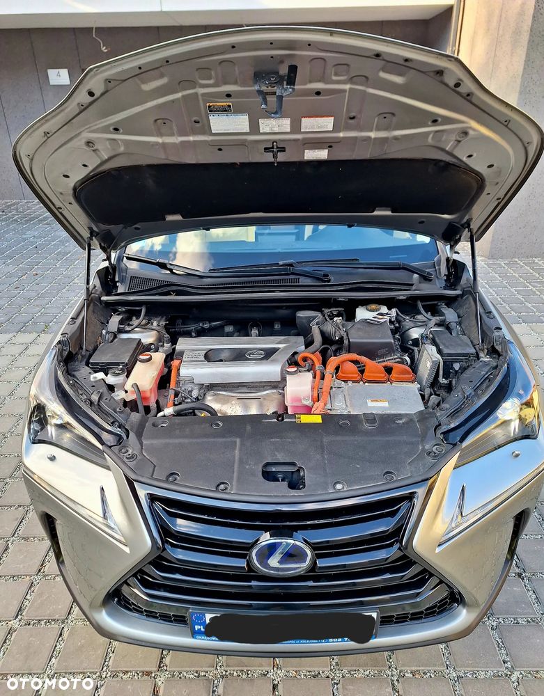 Lexus NX 300h Business Line - 10