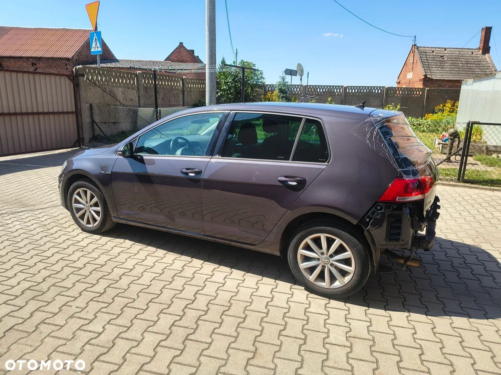Volkswagen Golf - 12