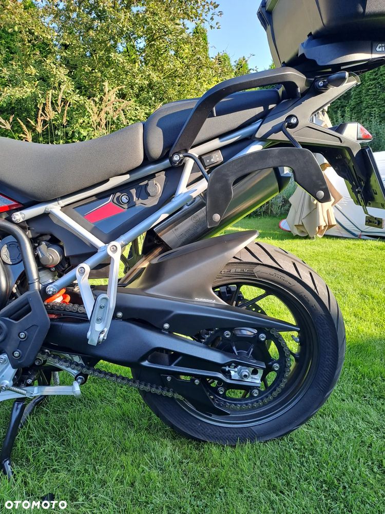 Triumph Tiger - 9