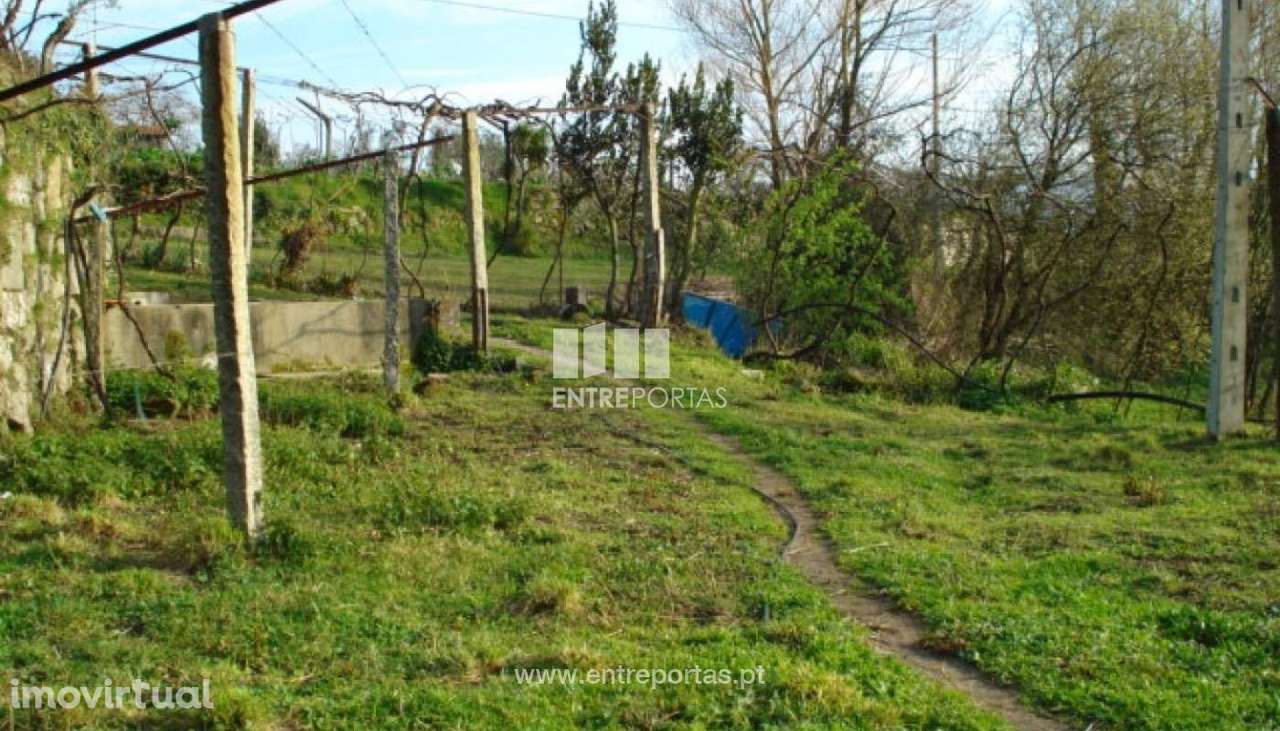 Venda Moradia, Penha Longa, Marco de Canaveses - Grande imagem: 4/9