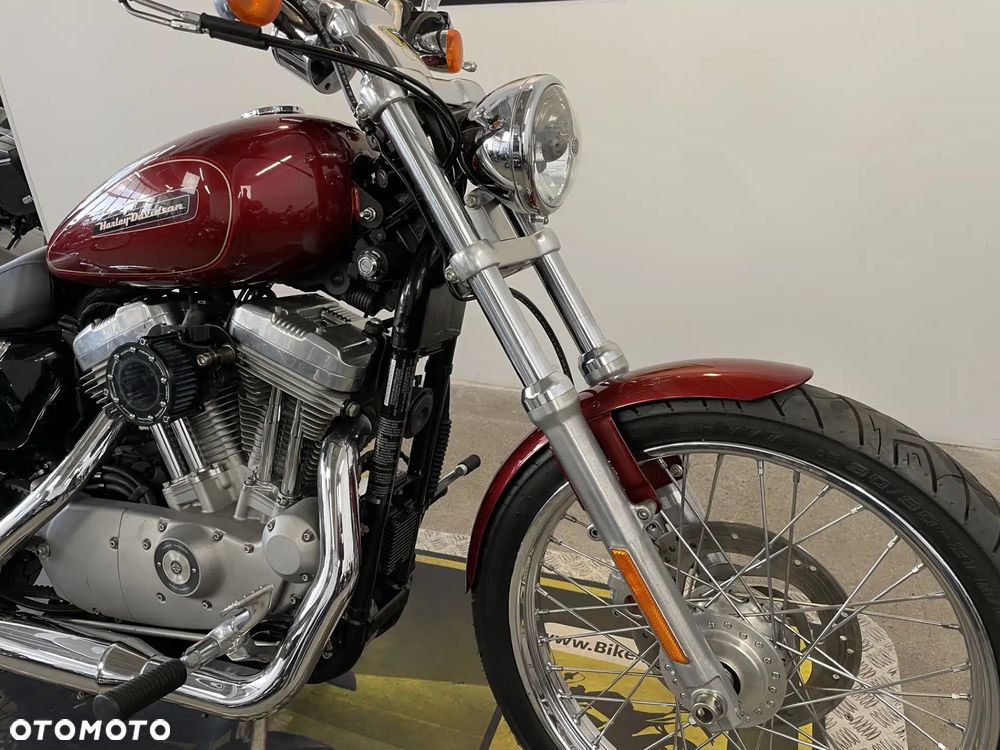 Harley-Davidson Sportster Custom 883C - 9