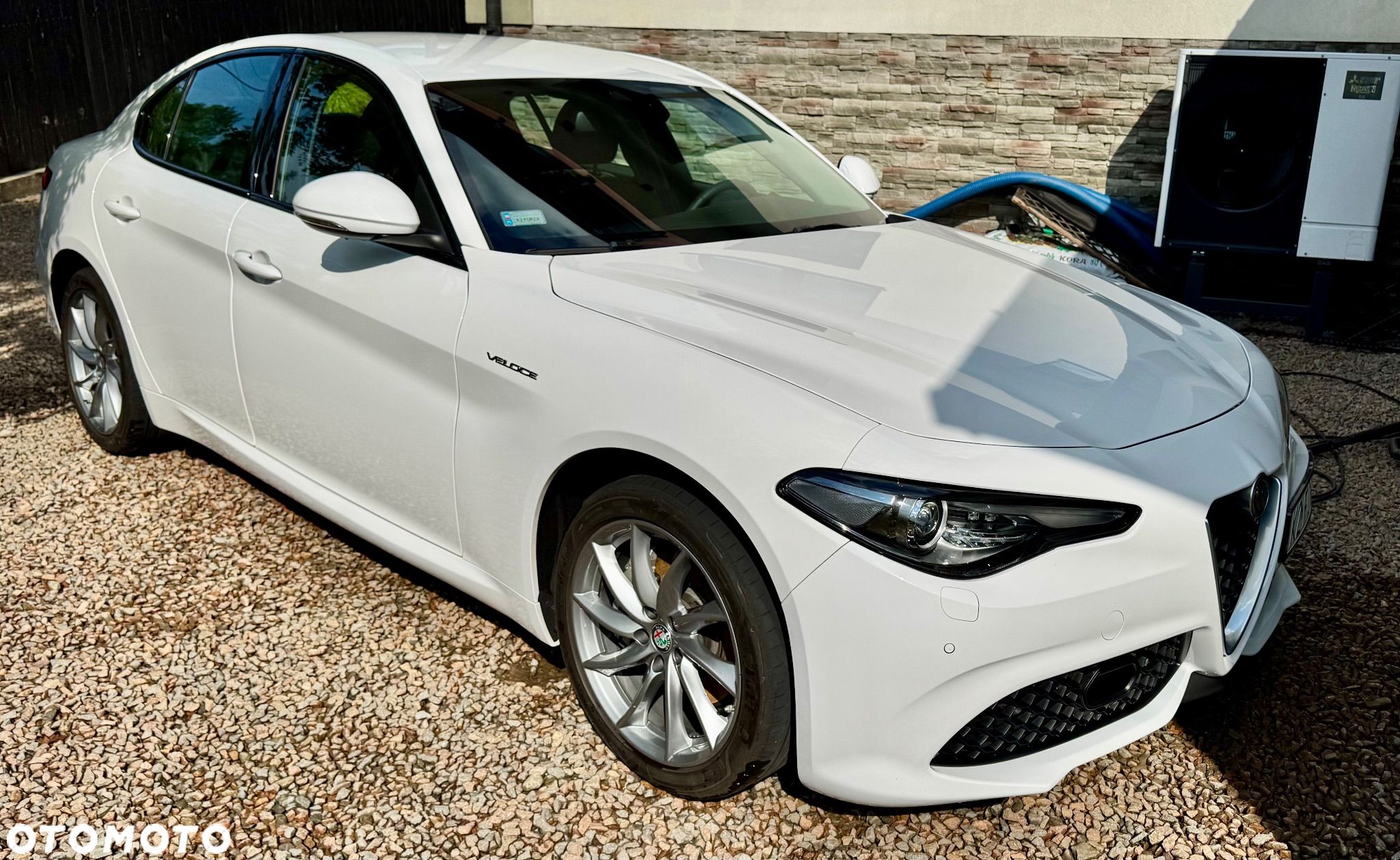 Alfa Romeo Giulia 2.0 Turbo Veloce Q4 - 1