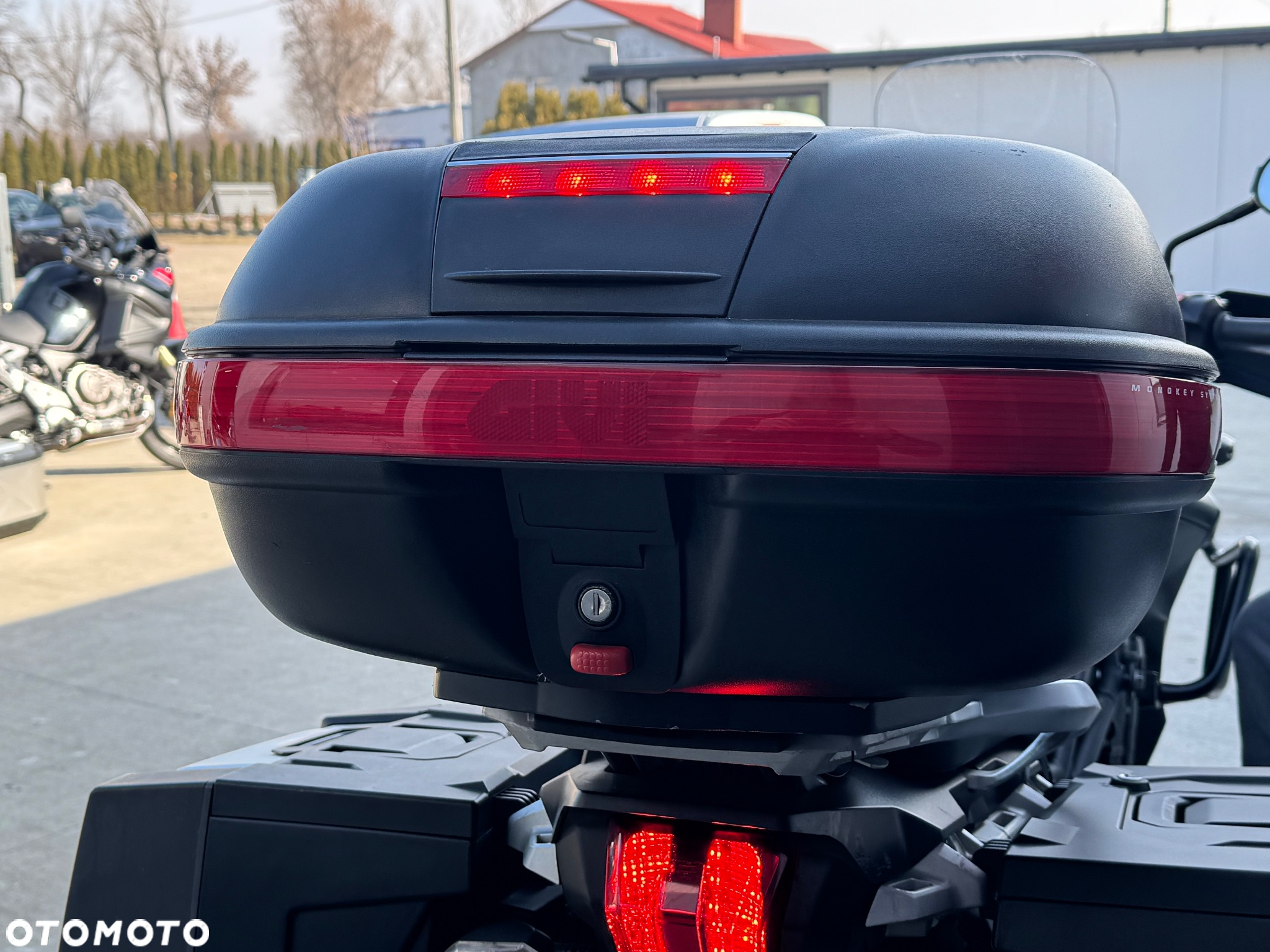Triumph Tiger - 29