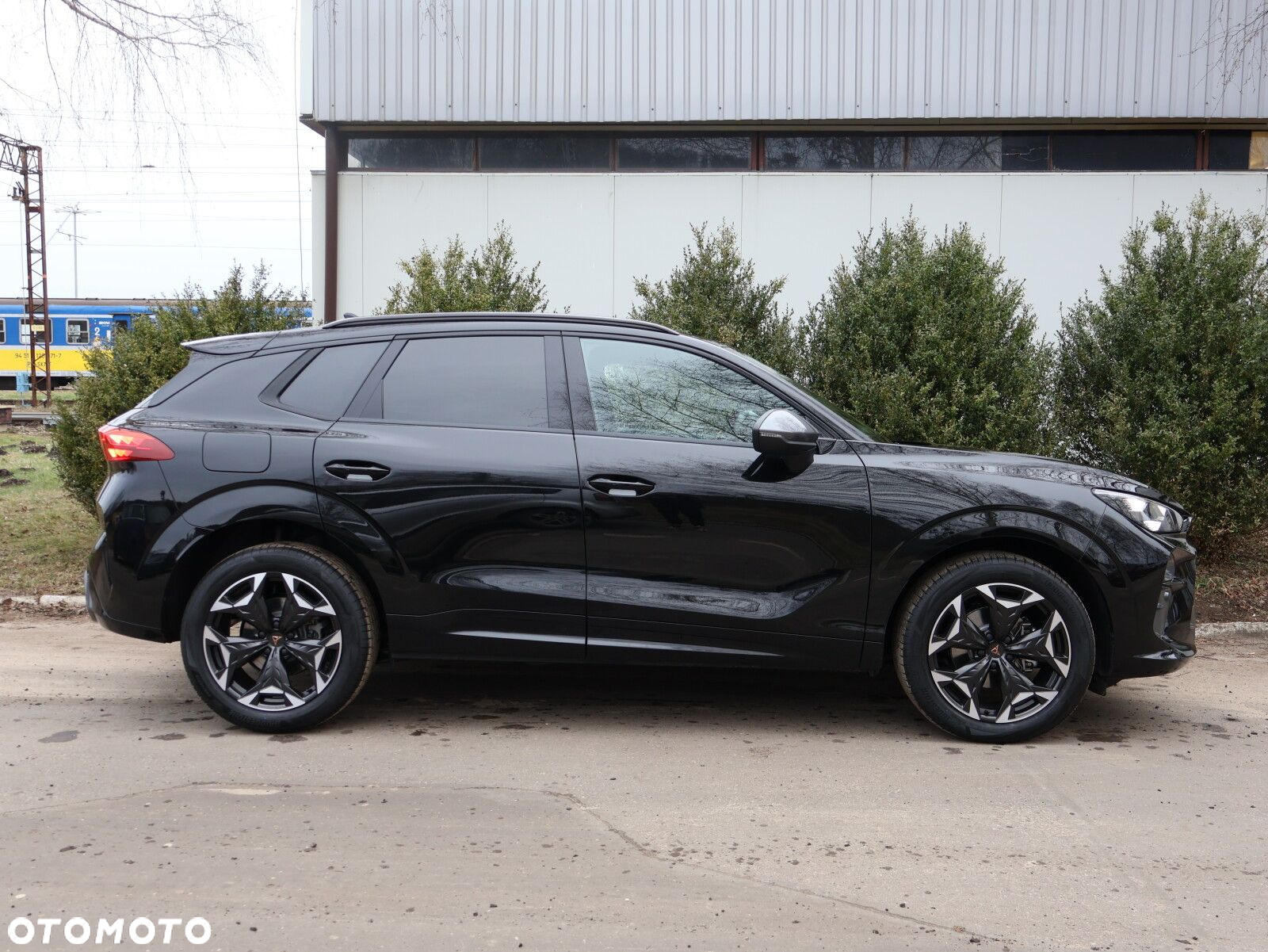 Cupra Terramar 1.5 eTSI mHEV DSG - 17