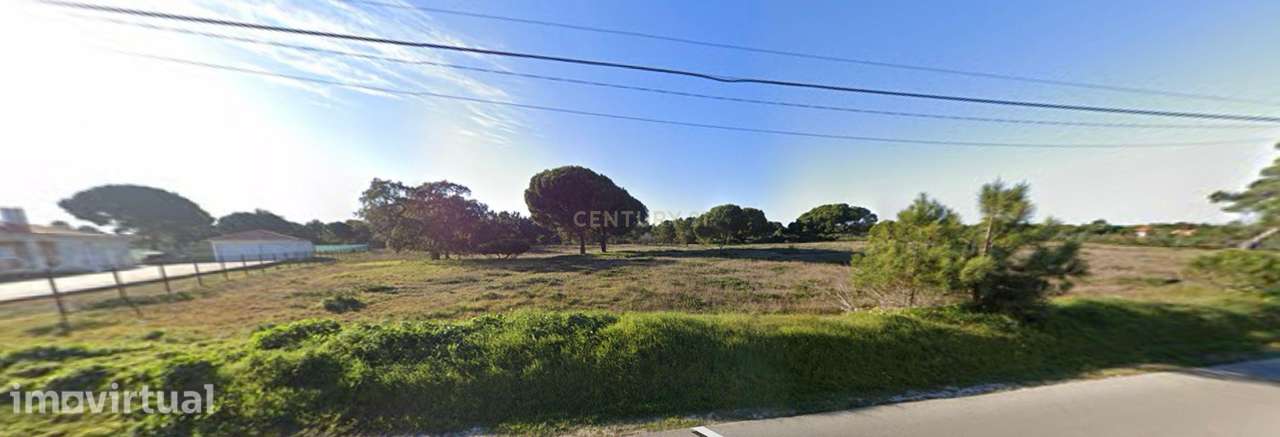 Terreno de 5000 m2 com capacidade de construção - Grande imagem: 5/6