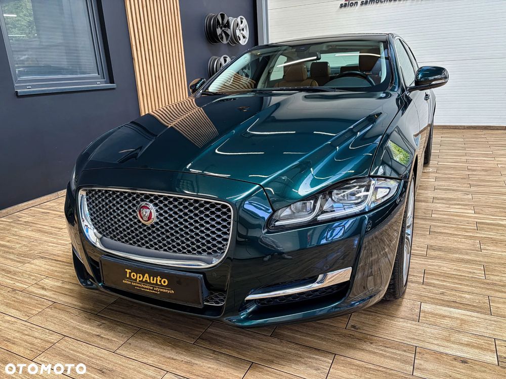 Jaguar XJ 3.0 D V6 Premium Luxury - 14
