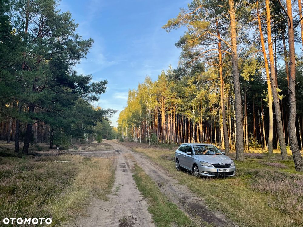 Skoda Fabia 1.4 TDI Active - 3