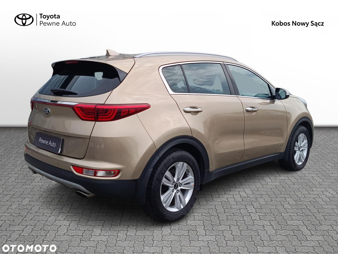 Kia Sportage 1.6 T-GDI Business Line 4WD - 2