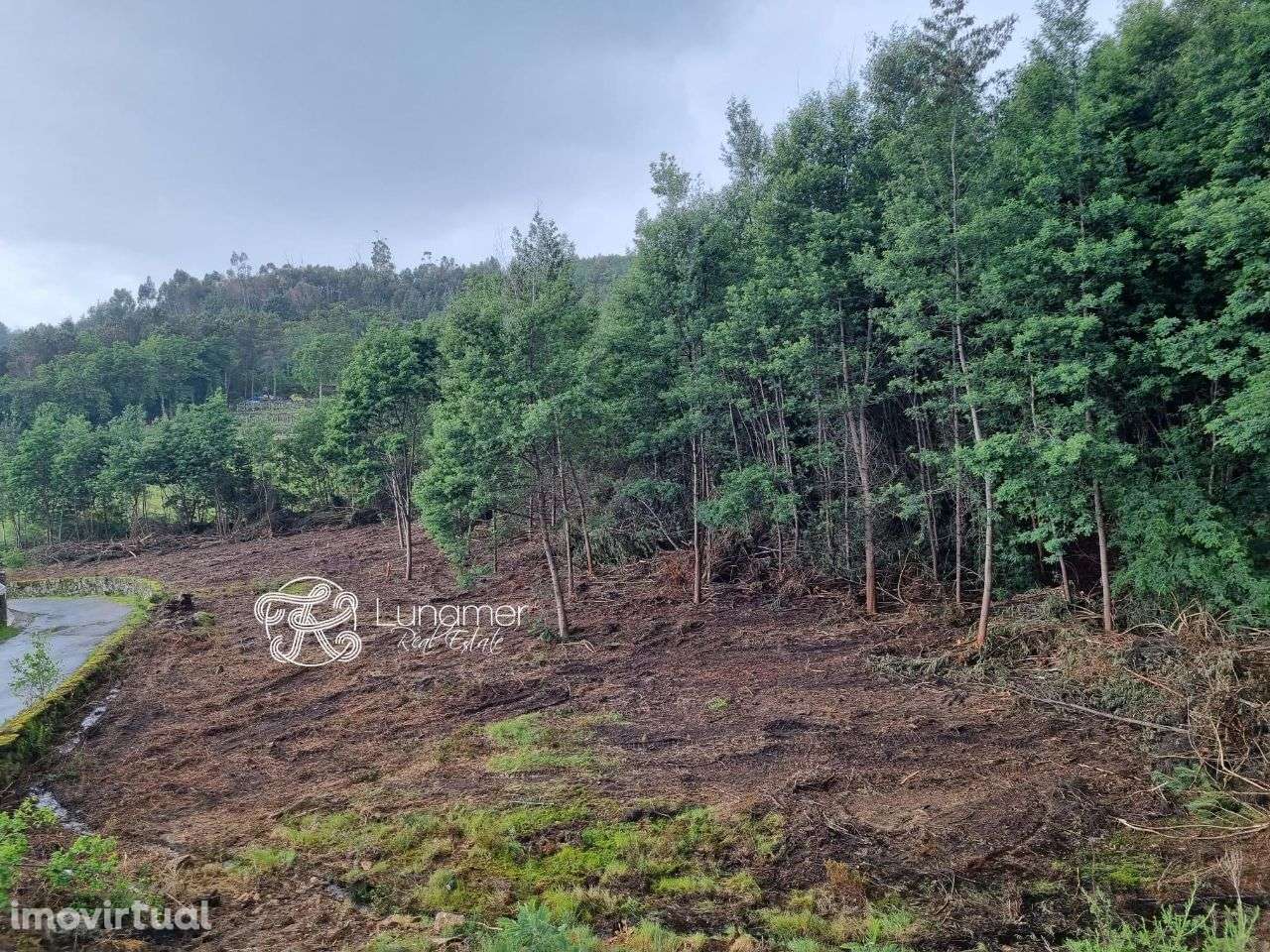 Terreno em Moimenta, Cabeceiras de Basto - Grande imagem: 2/7