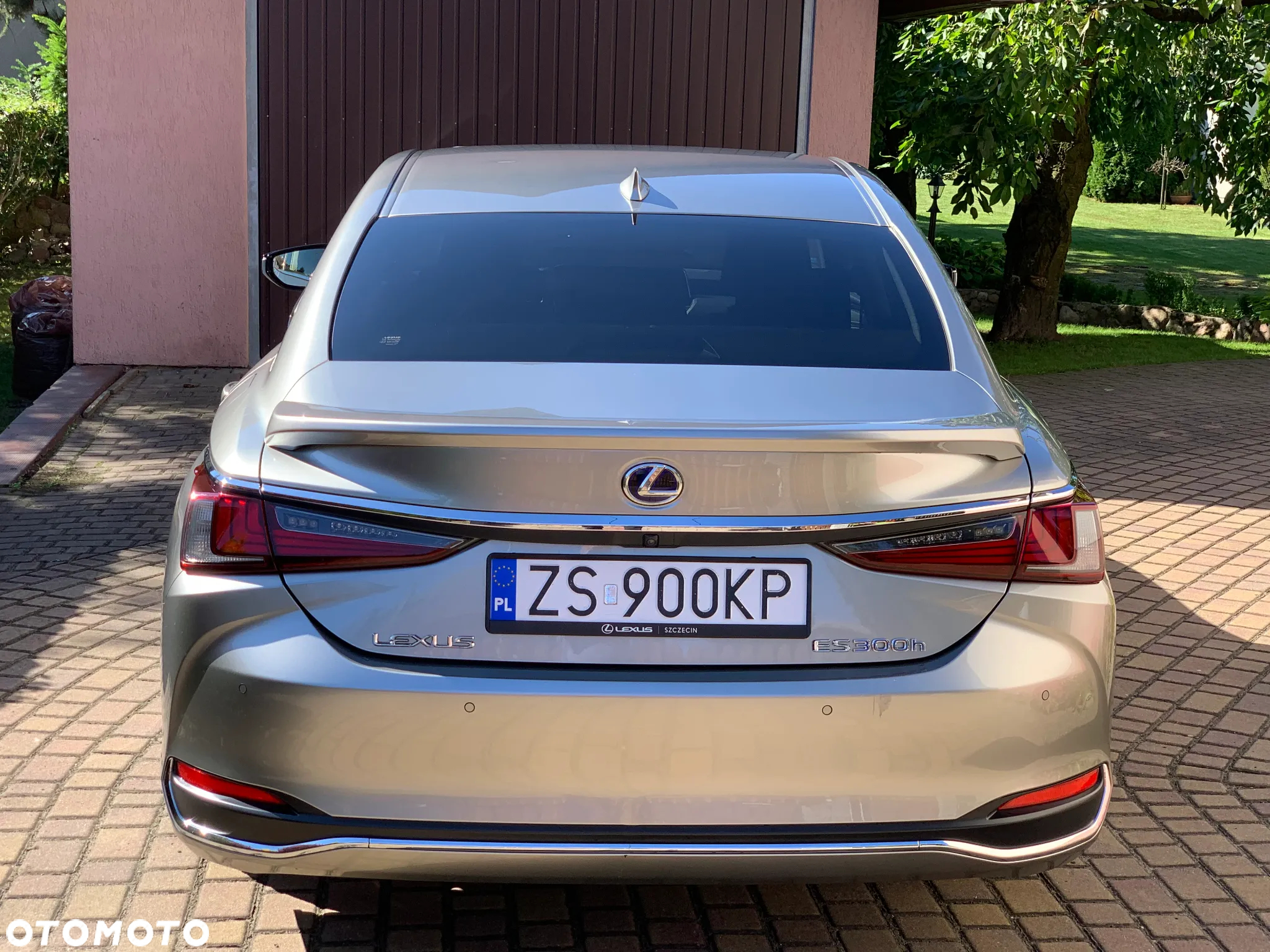 Lexus ES 300h Omotenashi - 5