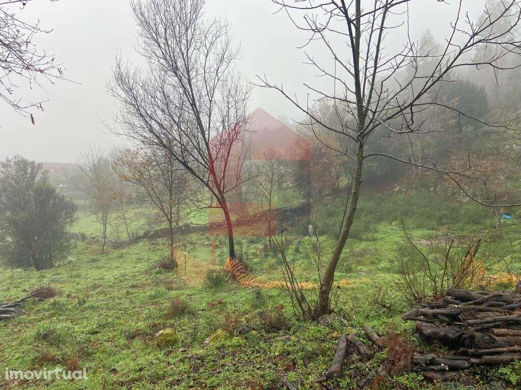 Terreno agrícola, Barros - Grande imagem: 2/14