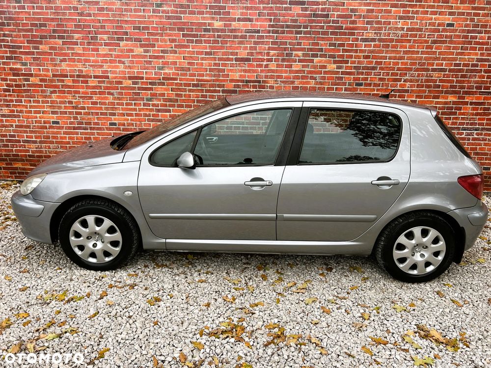 Peugeot 307 - 32