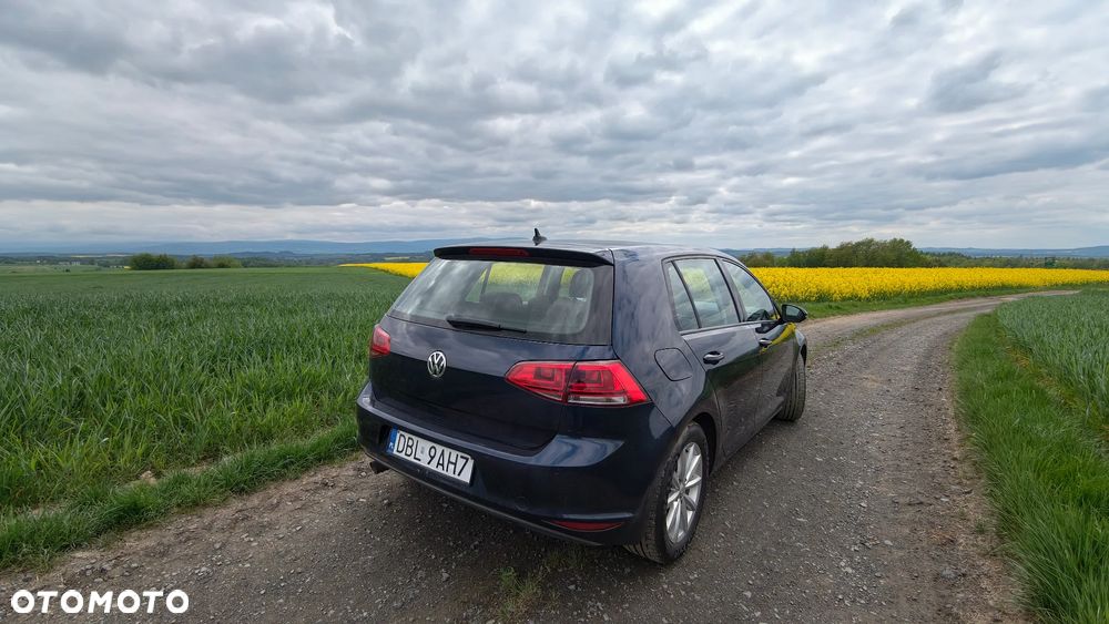 Volkswagen Golf 1.6 TDI Highline DSG - 8
