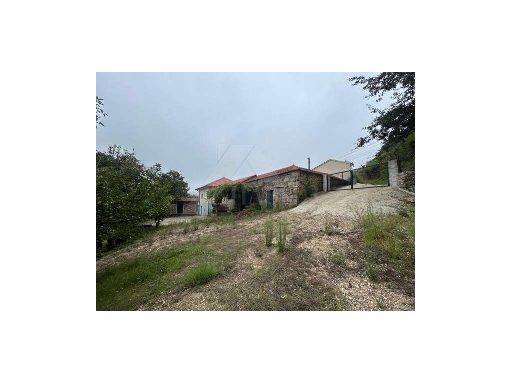 Moradia habitável com 5000m2 de terreno. - Grande imagem: 2/26