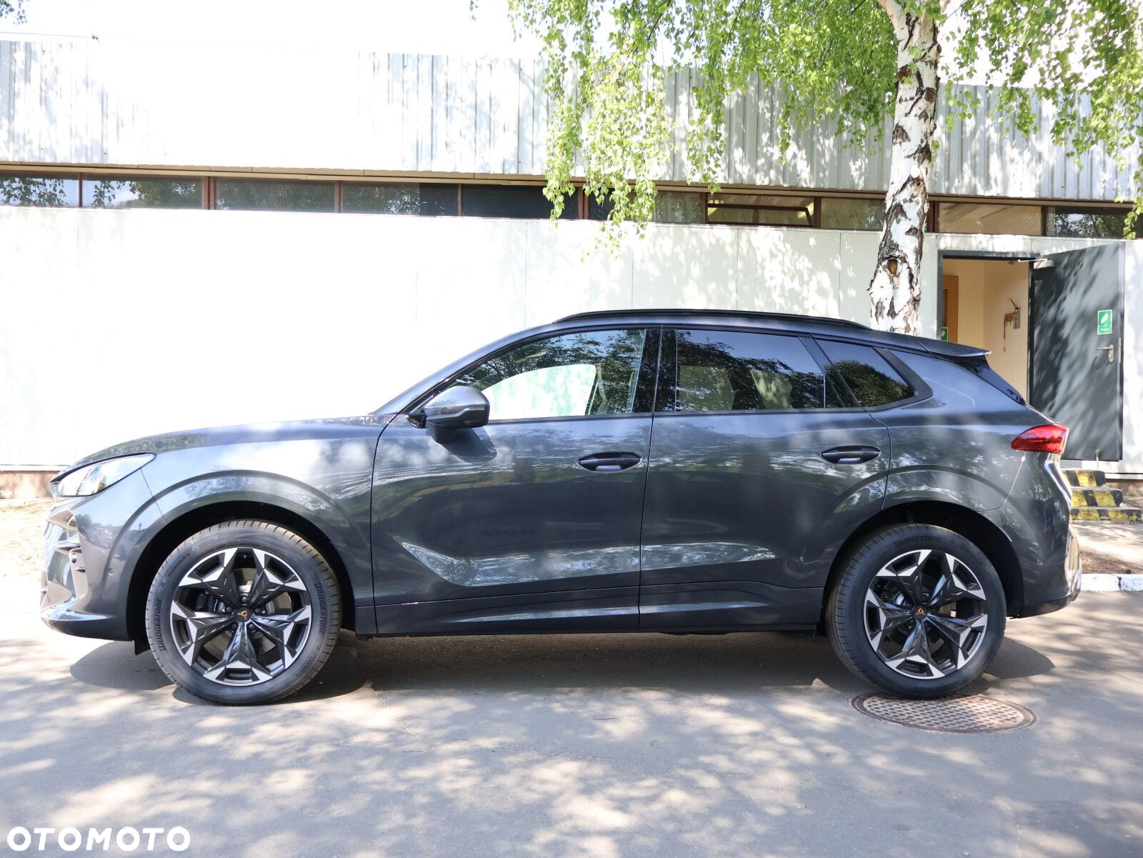 Cupra Terramar 2.0 TSI 4Drive VZ DSG - 5