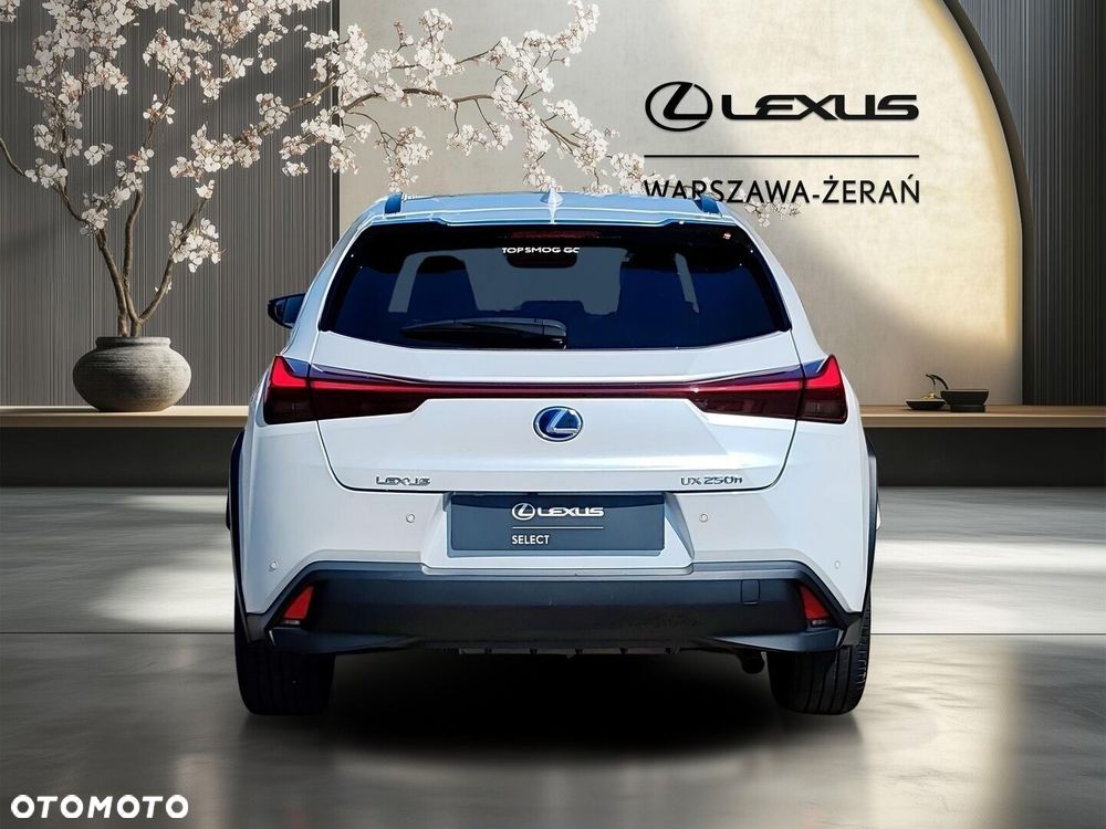 Lexus UX 250h GPF F Impression 2WD - 6