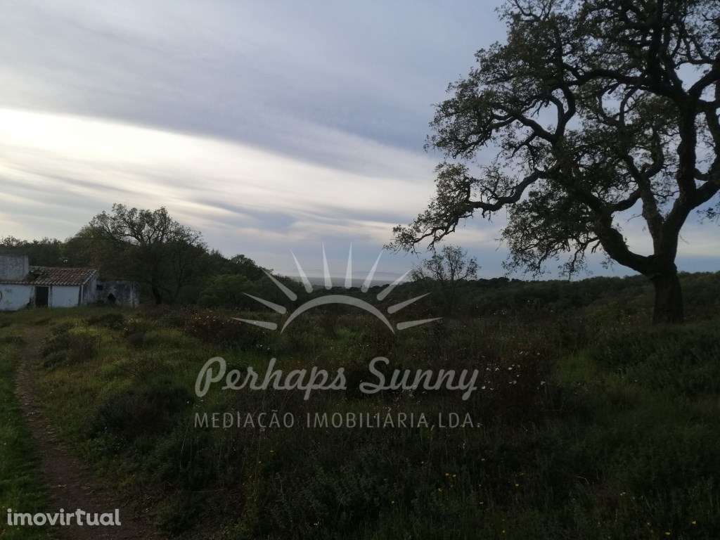 Terreno Misto Melides - Grande imagem: 4/23