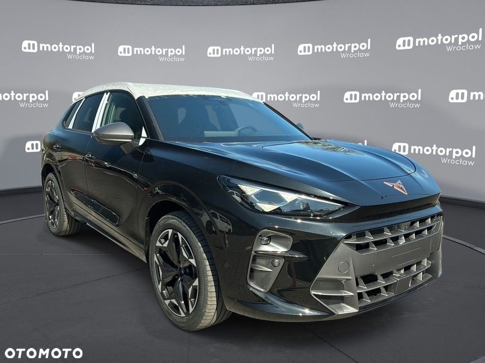 Cupra Terramar - 12