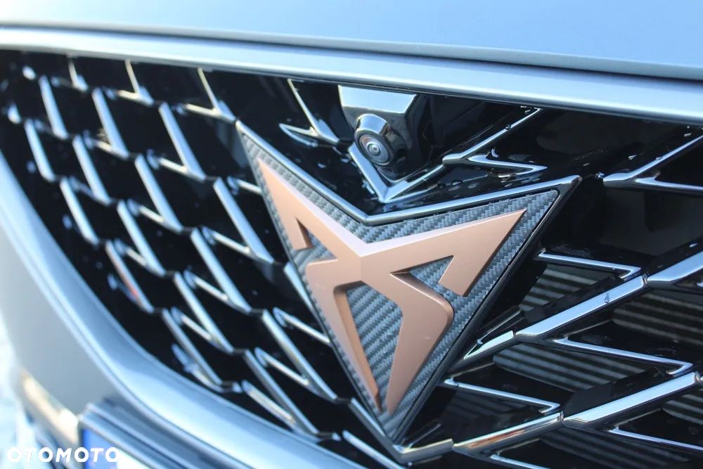 Cupra Formentor 2.0 TSI VZ DSG - 21