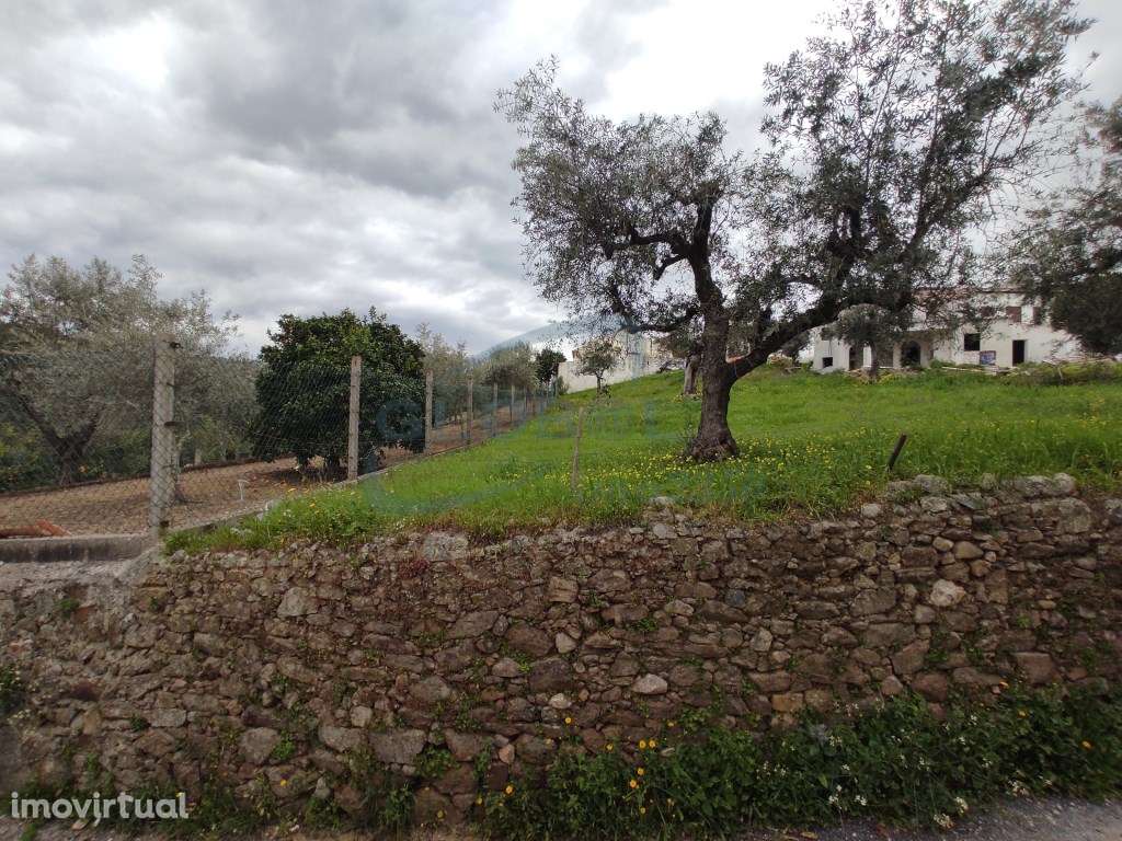 Terreno rústico com 720 m² com água e eletricidade junto - Grande imagem: 2/8