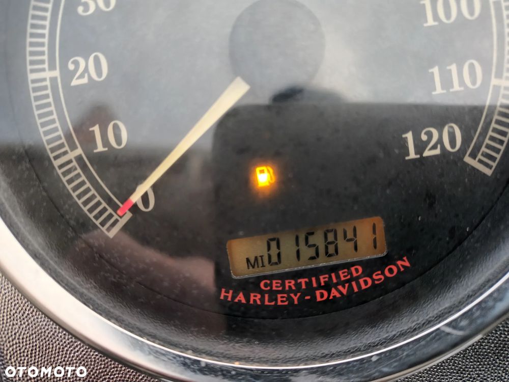 Harley-Davidson Softail Standard - 9