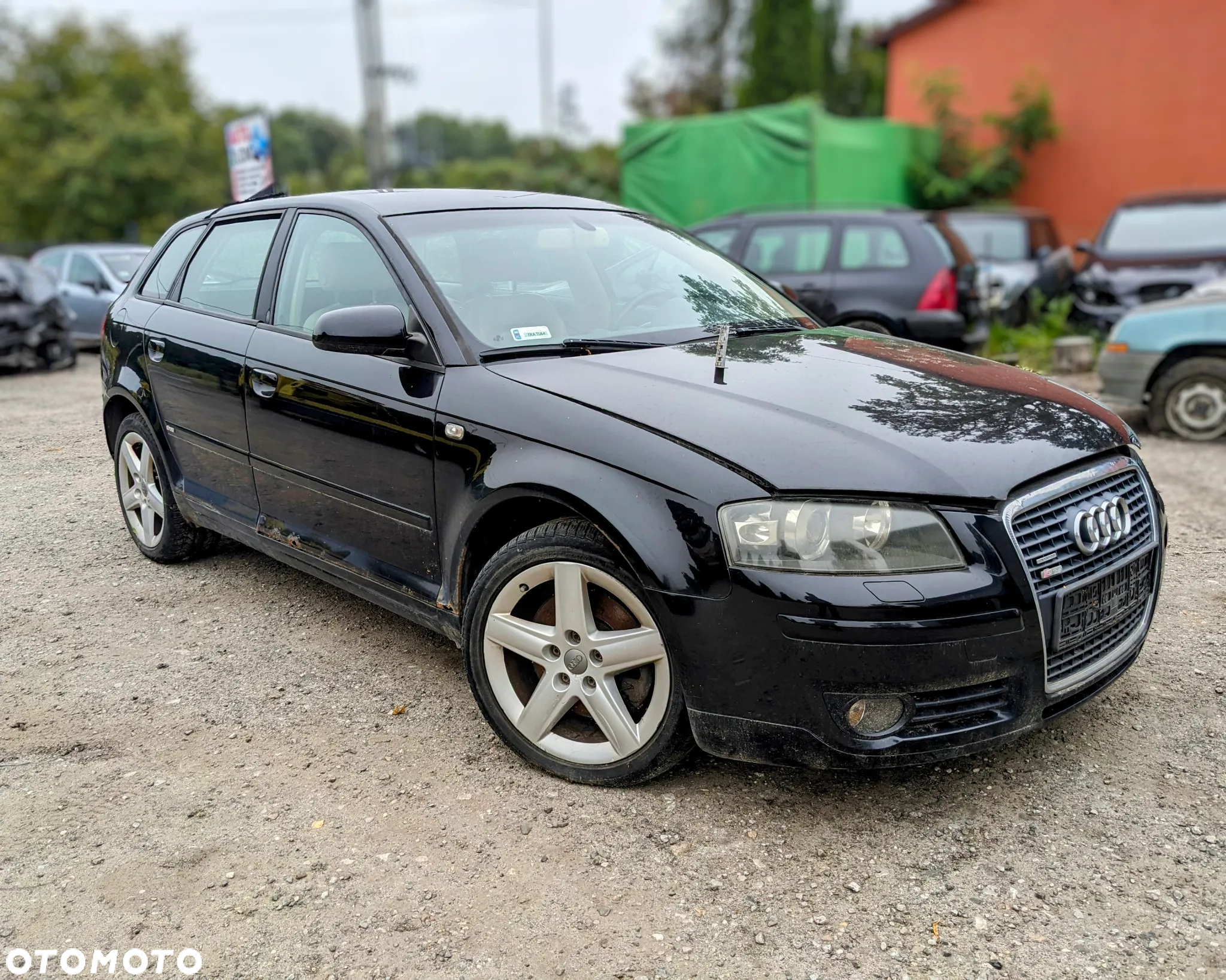 Audi A3 8P 2.0 TFSI 2004 LZ9W na cęści - 2