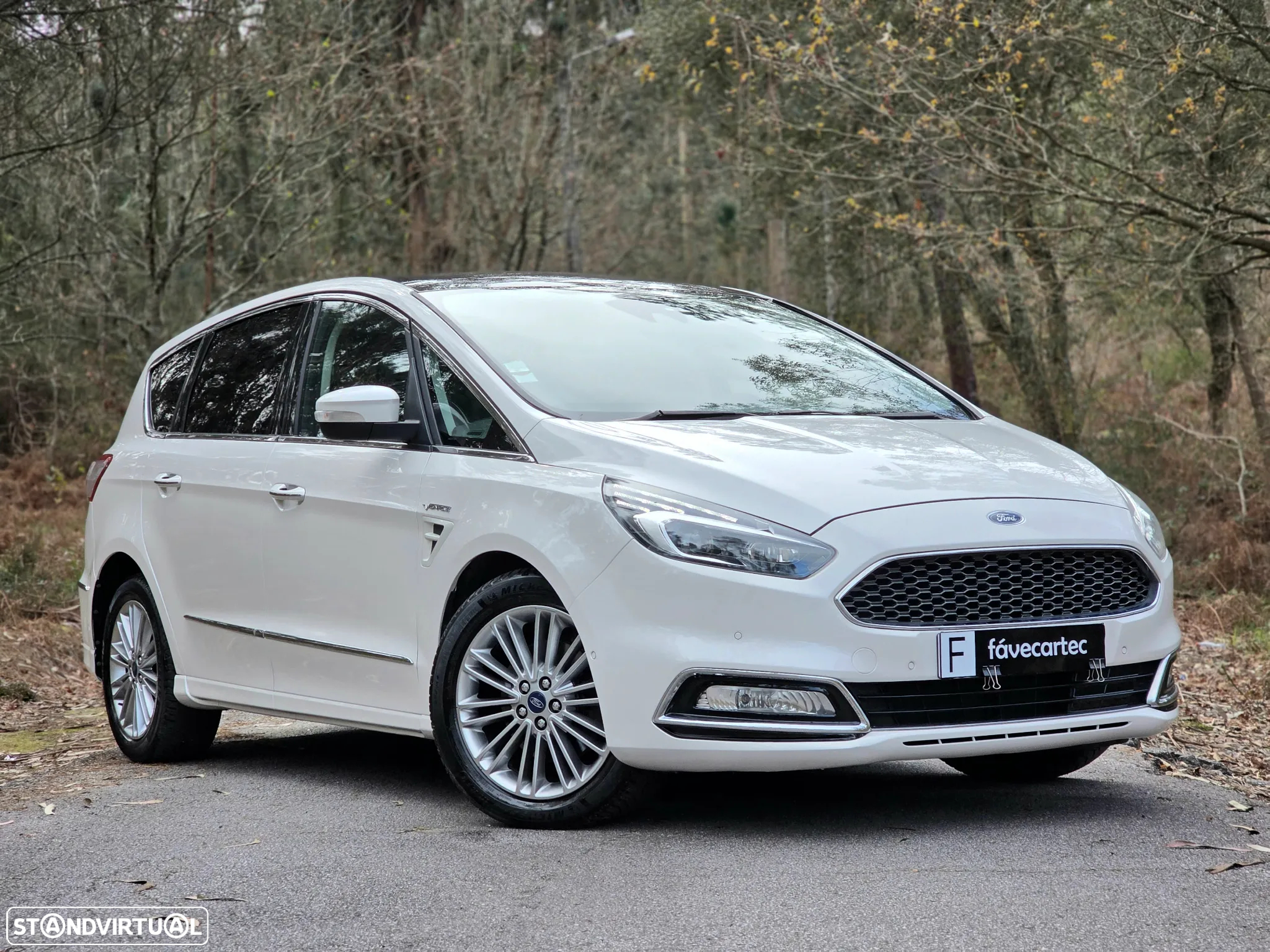 Ford S-Max 2.0 TDCi Vignale Powershift - 25